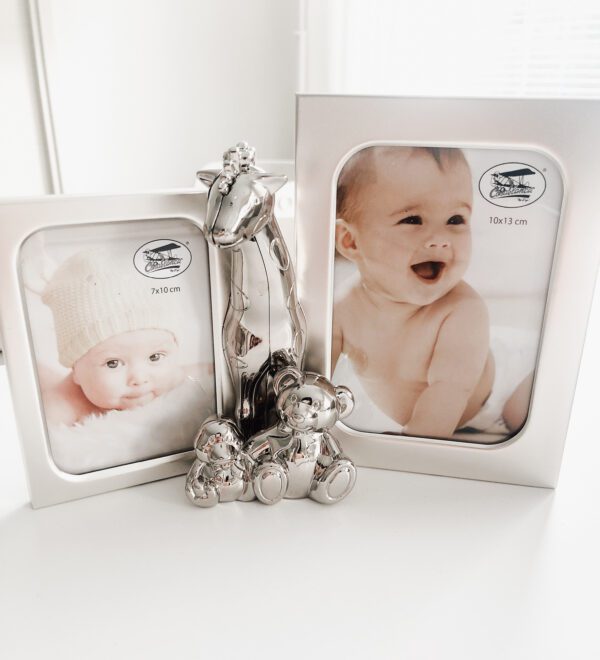 PikkuVanilja hopeoitu valokuvakehys lahjapaketoituna, eläinystävät