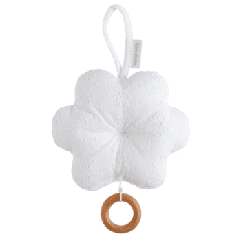 Baby`s Only soittorasia flower